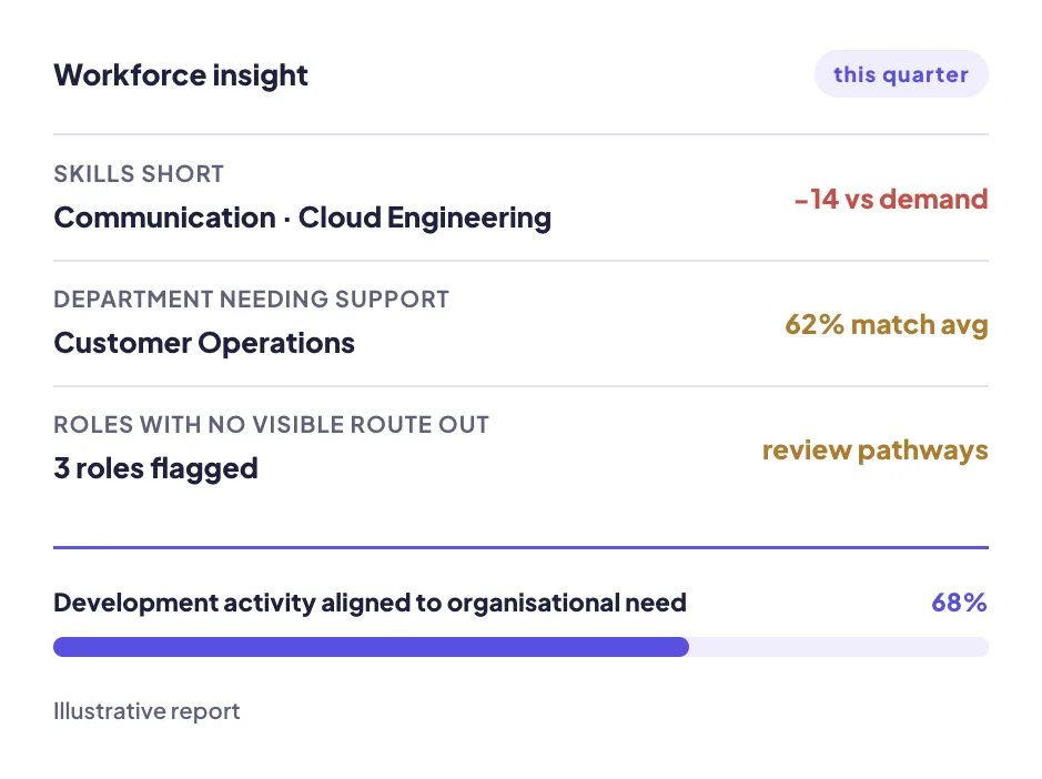Workforce view summarising roles, skills and progression across an organisation.